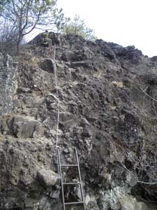 �n�V�S�ɂ�����E�E�E