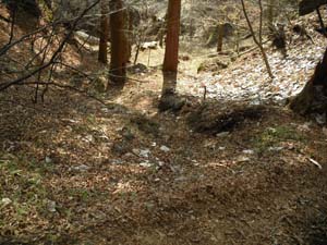 8���ڂ���7���ڂ�����̓o�R���B