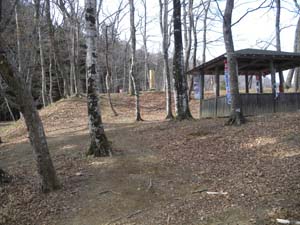 ��C��{�ې�