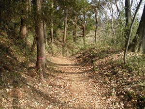 ��C��{�ېՂ���̓o�R��