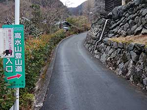 ���̕���