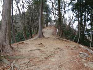 �핟�@�s��������̓o�R���B