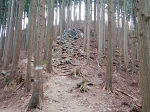 �Γx�̑����� �o�R��