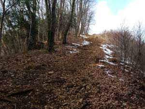 �Γx�̑����� �o�R��