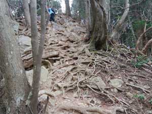 ����ΎR����̓o�R���B