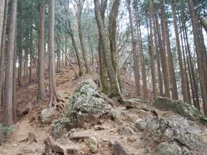 ����ΎR����̓o�R���B