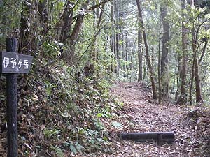 �o�R���炵����