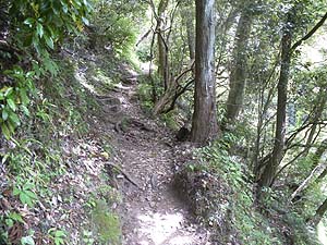 ���򂩂�̓o�R���B