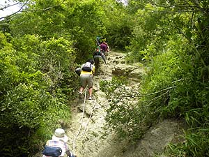 ���[�v�̒���ꂽ�A�}��