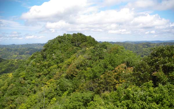 伊予ヶ岳山頂(南峰)からの眺め