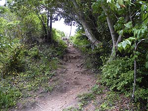 ���R�J�n�`�`