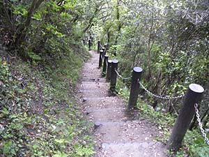 ��������̓o�R���B