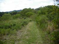 ����_����̓o�R���B