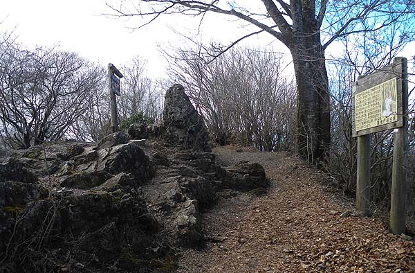 伊豆ヶ岳 山頂
