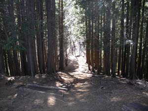 �ܗ֎R�R������̓o�R���B