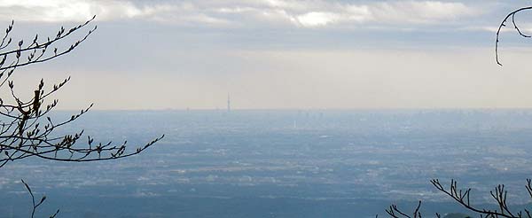 伊豆ヶ岳山頂付近からの眺め