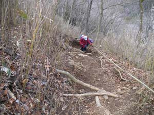 �I��H�͌��\�ȎΓx���`