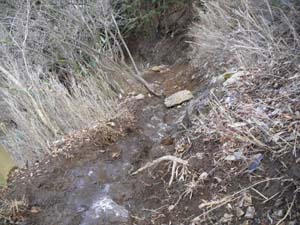 ����̓������ꏊ