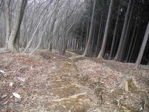 �ܗ֎R�R������̓o�R���B