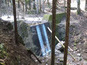 �����̓���i�ށB