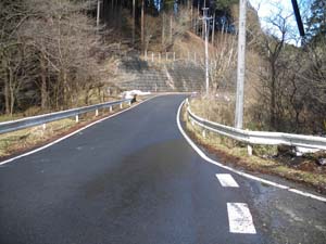 �A�X�t�@���g�̓�