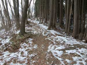 �Ⴊ���ꂽ�`�`