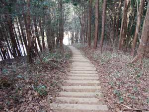 �ؒi������