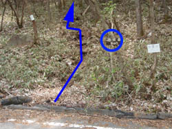 �o�R������