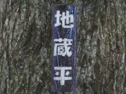 �n�����̊Ŕ�