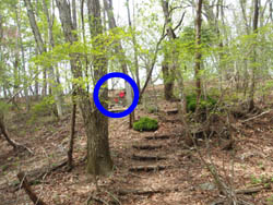 ���n������