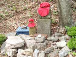 ���n������