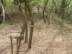 �n��������̓o�R��