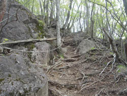 ���[�v�̒���ꂽ�o�R��