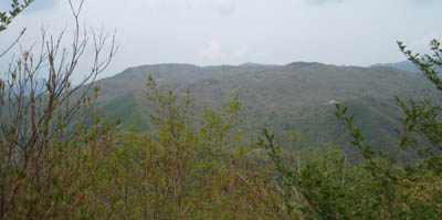 �W�]�΂̏ォ��̒���