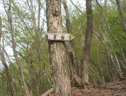 ���������X�ɐi��