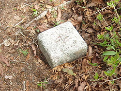 �n���x �R���̎O�p�_