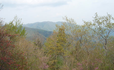 �������݂̂̒��]