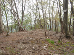 �O�n���x �R��