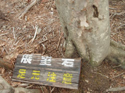 �W�]�΂ɓ���