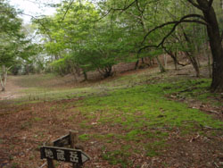 �n�����ɓ���