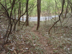 �A�X�t�@���g�̓��������Ă���