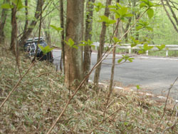 �X�^�[�g�n�_�ɓ����E�I��