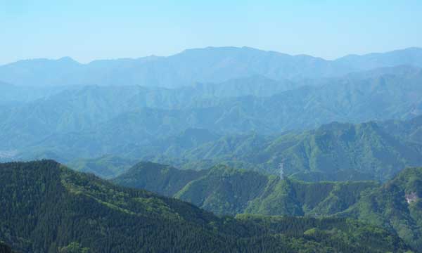 ���\�Ȓ���