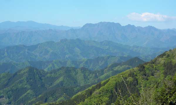 ���\�Ȓ���