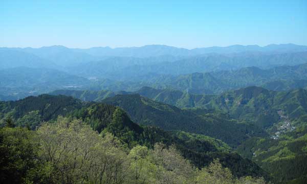 �d�g������̒���