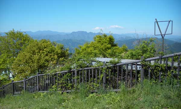 ���R�R������̒���