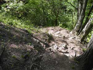 ���\�}�ȏꏊ