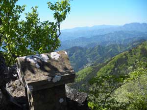 �W������̓o�R���B