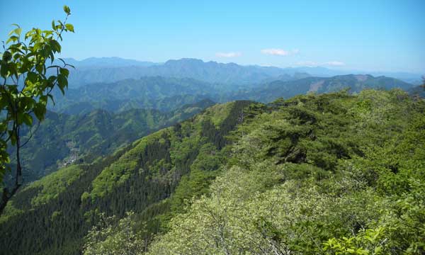 �V��₩��̒���