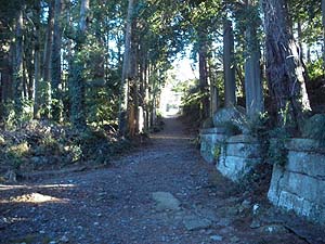 �{�{����̎Q��